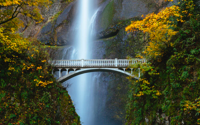 A white bridge with greenery on both ends and a waterfall in background.